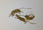 Fang, Ratos, gravura, tiragem 16/50, 35x50cm, sem moldura