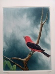 A. Góes, Pássaro, gravura, tiragem 62/100, 35x25cm, sem moldura, necessita de limpeza