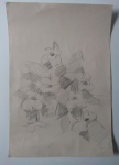 MARIO ZANINI , FLORES , GRAFITE SOBRE PAPEL , ASSINADO CID . MEDIDAS: 48 CM X 33 CM . SEM MOLDURA