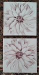 Lote com duas telas em tema floral. Medida: 40x40 cm.