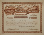 RARIDADE: AÇÕES > PAPEL ANTIGO > COM 106 ANOS - Nº 4608 - DATA 30 DE ABRIL DE 1920 - COMPANHIA DE OLEOS E PRODUCTOS CHIMICOS - VALOR 100 MIL RÉIS - MEDINDO 27 X 33 CM - MARCAS DO TEMPO