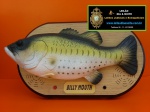 BILLY . MOUTH . THE SINGING SENSATION - PEIXE MUSICAL COM SUPORTE DE MESA OU DE PAREDE - ACOMPANHA CAIXA ORIGINAL DA ÉPOCA - MEDIDA DA CAIXA 36 X 21 X 9 CM - MOVIMENTO A PILHA 4 AA - NÃO TESTADO
