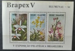BRASIL – Bloco B051, ano 1982, V Exposiçaõ Filatélica Brasileira – Blumenau/SC, em estado conforme imagem, valor RHM R$ 24,00.