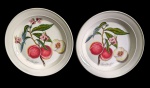Par de imponentes pratos decorativos em porcelana inglesa, da coleção Pomona, com decoração botânica policromada representando pêssegos em ramos floridos, reprodução de ilustração de George Brookshaw para a obra Pomona Britannica (1812). Marcados na base. Medidas: 3,5 x 31cm.