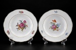 PORCELANA SCHMIDT - (2) Pratos fundos decorativos , decoração floral , bordas filetadas à ouro  , medidas : 23 cm , um deles com desgastes na filetação .