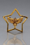 MILITARIA, uma (1) insígnia militar de inspiração aeronáutica, confeccionada em metal dourado, apresentando formato de estrela vazada de cinco pontas, com emblema central em alto-relevo composto por estrela de cinco pontas sobreposta a um par de asas abertas e elemento vertical estilizado. Peça com detalhes cinzelados, acabamento dourado e relevos ornamentais, apresentando marcas de uso, desgastes e pátina do tempo, medindo 4,5x4,5cm.