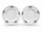 PORCELANA SRS, par (2) de pratos fundos decorativos confeccionados em porcelana na tonalidade branca, decorada por flores e folhagens em policromia, medindo 23cm de diâmetro.