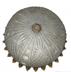 Luminária Plaffon  para 2 luzes em vidro lapidado e metal dourado formato de folhas , diâmetro  30 cm  OBS : falta acabamento