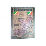Placa de parede  em madeira entalhada à mão em baixo-relevo com o mapa geográfico e a divisão territorial da República do Congo (République du Congo), África Central  c. 1970/1990. Dimensões: 40 x 30 cm. Excelente estado, com pátina original do tempo.