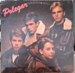 Polegar –Polegar. Selo : Gel Continental – 1.01.404.370. Formato : Vinil , LP, Álbum. País : Brasil. Lançado : 1989. Capa muito boa. Disco excelente. Usado. Necessita limpeza