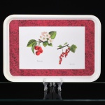 DIVERSOS, uma (1) bandeja retangular, confeccionada em polímero, ornamentação policromada representando frutas, além das legendas CERASUS AVIUM e RIBES RUBRUM, marca de origem made in Italy, medindo 45 x 31 cm, vide foto.