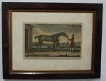Interessante Gravura em Metal Colorida - Figuras e Cavalo, com marcas do tempo, med. 17cm x 27cm sem moldura e 35cm x 45 cm com moldura, proteção de vidro.