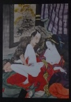 Colecionismo - Cartão Postal Fotográfico erótico sem circulação " Shunga do Periodo Meiji (1867 - 1902) - Autor desconhecido. Med. 10,5cm x 14,5 cm.