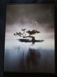 Lindo quadro decorativo com figura representando Bonsai . Medida :60x80x4 cm .