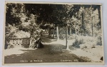 Foto Postal Época (c. 1940) Parque das Águas de Caxambu - MG  Papel Wessel AntigoCharmoso registro de paisagem que captura uma das alamedas arborizadas do tradicional Parque das Águas de Caxambu - MG. A composição destaca uma alameda sombreada por árvores em fileira simétrica, vegetação densa nas laterais e uma mureta decorativa vazada de concreto à esquerda, elemento arquitetônico típico do paisagismo de estâncias hidromineirais do início do século XX.