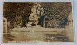 Foto Postal Datada (1953) Lago do Country Club com Marcas "Foto Lembrança" e Longa Carta de Viagem  Poços de CaldasCharmoso registro paisagístico focando uma pequena ilha com vegetação densa, touceiras de bambu e uma casinha rústica de madeira (provavelmente um abrigo para aves) no meio do lago do tradicional Country Club de Poços de Caldas. Em primeiro plano, uma grande revoada de cisnes ou patos desliza pela água.