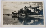 Foto Postal de Paquetá Datada (1950)  Lembrança do Rio  Papel Wessel AntigoRegistro bucólico e panorâmico em preto e branco da orla da Ilha de Paquetá, destacando o reflexo dos coqueiros na calmaria da água e as formações rochosas características.