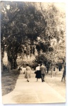   Vida Urbana / Cotidiano / Lazer em Parques / Identificação Familiar. Registro espontâneo de três pessoas caminhando de costas por uma alameda arborizada em um parque ou praça pública de época, exibindo a moda civil de passeio da metade do século XX. Características Físicas: Fotografia original em preto e branco com tom sépia muito suave de excelente foco na vegetação. Corte reto tradicional. Formato vertical.