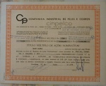 Colecionismo - Título Múltiplo de Ações da Companhia Industrial de Peles e Couros - Cinpelco - Fortaleza 1975.