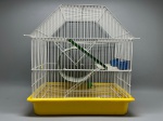 Gaiola para pequenos roedores, estrutura em arame revestido na cor branca com formato de telhado em duas águas. Base em plástico rígido na cor amarela. Internamente, conta com mezanino intermediário em grade metálica, rampa de acesso em plástico verde, roda de exercícios em plástico nas cores branco e verde, comedouro em plástico azul e bebedouro em plástico verde. Apresenta ganchos laterais para fixação de acessórios. Medidas: 17 x 40 x 27 cm. Estado de conservação conforme imagens. viveiro, habitáculo, careira, gaiola para roedor, caixa para hamster