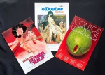 cinema nacional - conjunto de 3 press releases duplos de diversos filmes nacional - bem conservados - média (30X21)cm