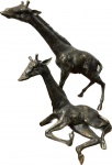 ZANI Fundição Artística - Maravilhosas e Imponentes Esculturas em bronze representando Casal de Girafas, peça assinada e com selo da Fundição zani, Med. Maior 130 X 125 cm.