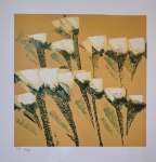 Olímpia Couto, Tulipas, Gravura, tiragem PA 11/40, 50x50cm, sem moldura