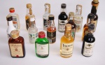 Lote com 15(quinze) miniaturas de bebidas sendo varias de whisky, vodka e outras bebidas.