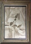 MARIO ZANINI- grafite s/ papel medindo 48 x 32 cm e 60 x 43 cm. Vidro quebrado.