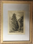 H. STEINER - gravura H.C ,medindo 23 x 17 cm e 42 x 32 cm.