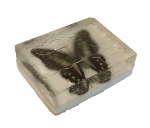 Lindo peso de papel de resina com incrustação de borboleta, medindo 8 x 6 cm.