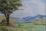 Nesmaro aquarela, paisagem, emoldurado, 38x56cm