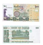 Cédula do Sudão - 100 Dinars (1996). Flor de estampa.