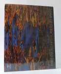 ARAQUÉM ALCÂNTARA: Águas do Brasil. Rubens Fernandes Junior / Ed. Terrabrasil, 2007. Ilustrado. Textos em português e inglês. 220 pp. Capa dura. Novo. Fotografias.