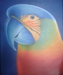 Maravilhosa pintura " Papagaio "  óleo S/Tela S/Ass.  , med. 50 X 62 .