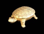 Caixa de metal dourado, em formato de tartaruga , medindo 6 cm comprimento.