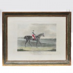 Antiga  gravura  com o famoso cavalo " Filho da Puta ". med. 50 x 63cm e 60 x 73cm com moldura.