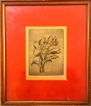 Oswaldo GOELDI (1895-1961) xilogravura, FLOR, medindo: 12 cm x 15 cm e25 cm x 29 cm