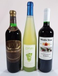 3 garrafas de vinho sendo um CABALERO DE LA CEPA (Argentina), um JOYVIN (Italia) e outro Monte Sinai