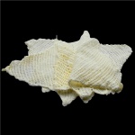 3 (Três) Toalhinhas de Móvel em Crochê. Pontos Diversos. Cor Branca. Modelo Triangular. Medida: 34 x 26 cm.