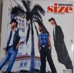 LP Size isn` t everything, de Bee Gees - Polygram, 1993. Bom estado de capa e vinil.