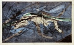 Stanley Hayter - Ceyx. Gravura em metal, 27x43 cm, 1956, A.C.I.D.