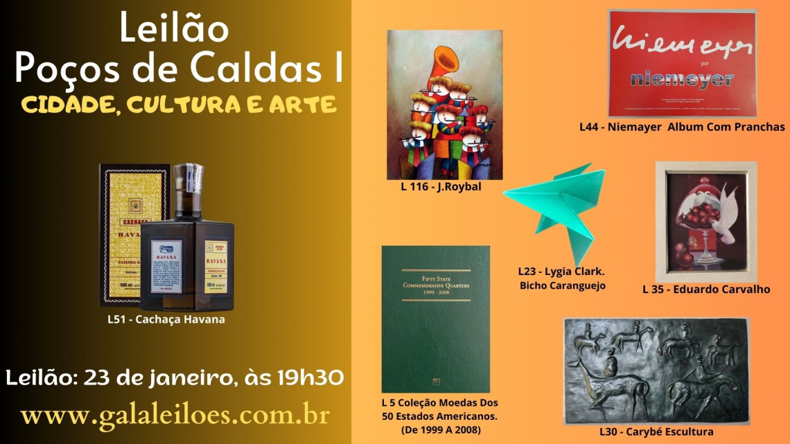 81 Nós Leilões