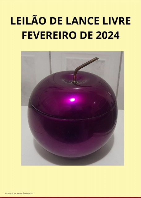 GRANDE LEILÃO DE LANCE LIVRE - FEVEREIRO DE 2024