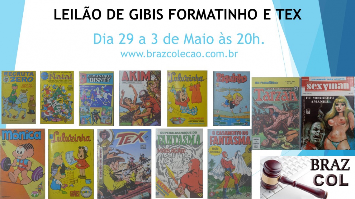 LEILÃO DE GIBI FORMATINHO  E  LINHA  TEX