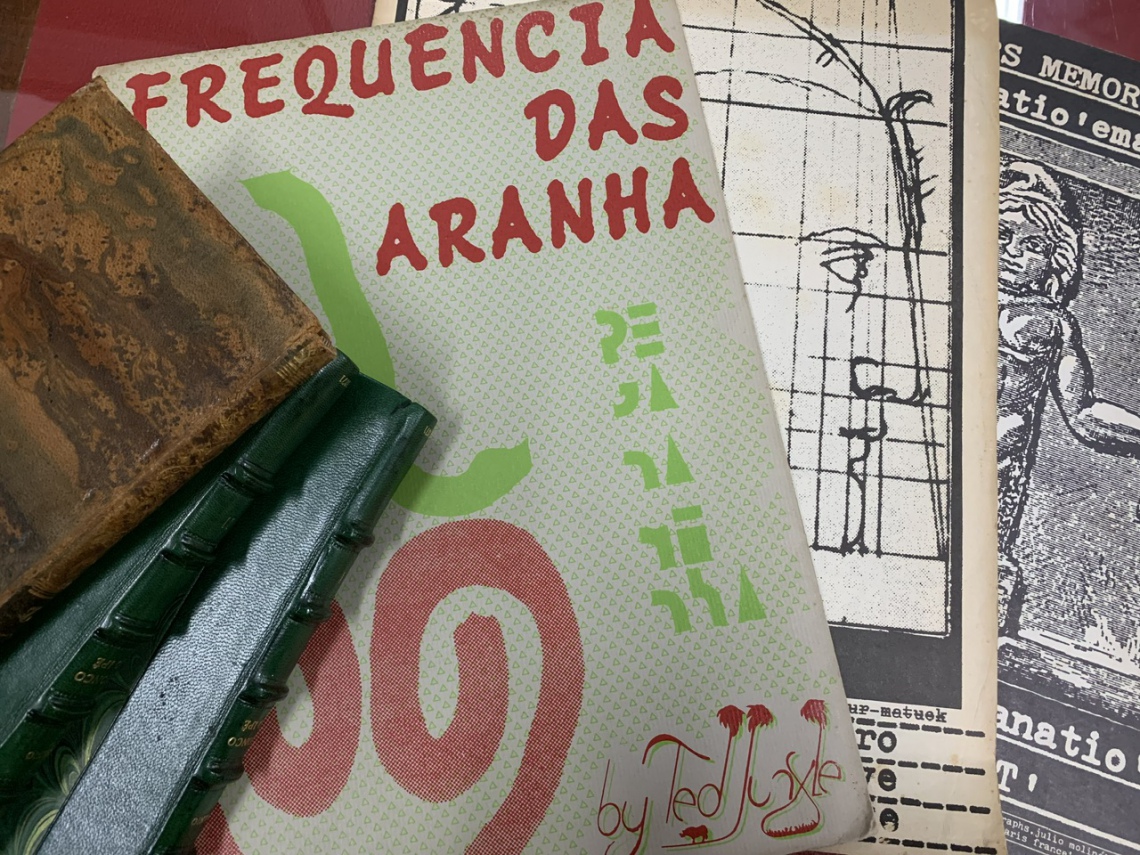 LEILÃO DE LIVROS RAROS, PRIMEIRAS EDIÇÕES DE LITERATURAS AUTOGRAFADAS,  DOCUMENTOS E CARTUNS.