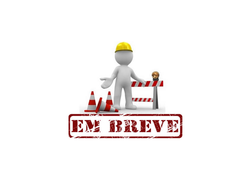 LEILÃO ANTIGUIDADES, COLECIONISMO, DESIGN, DECORAÇÃO & ARTE | 12 de Fevereiro 2026 as 19h00