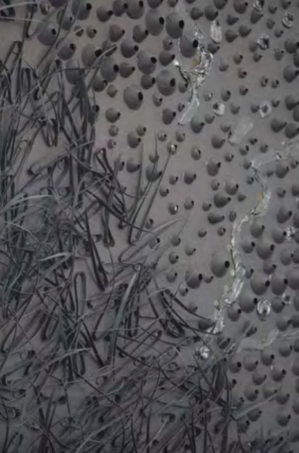 LEILÃO DE ARTE E ANTIGUIDADES