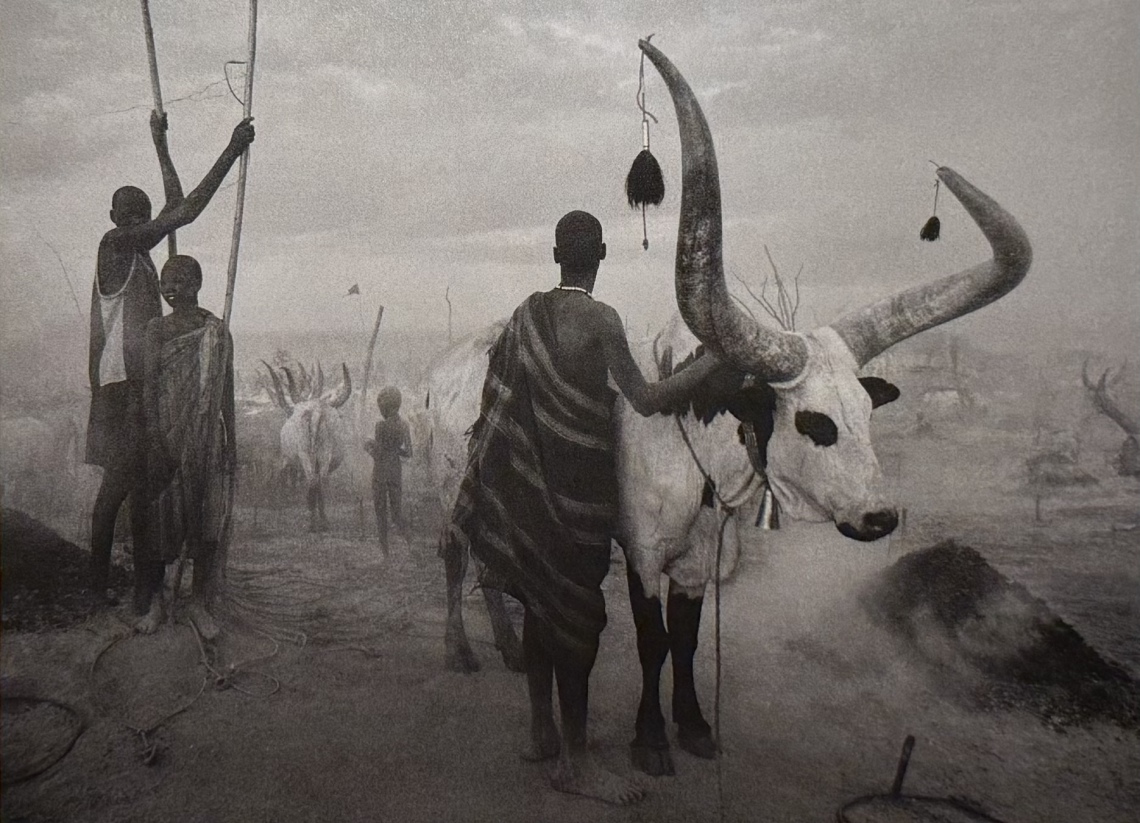 142º LEILÃO DE ARTES DA ABAPORU BRAZILIANS ART GALLERY