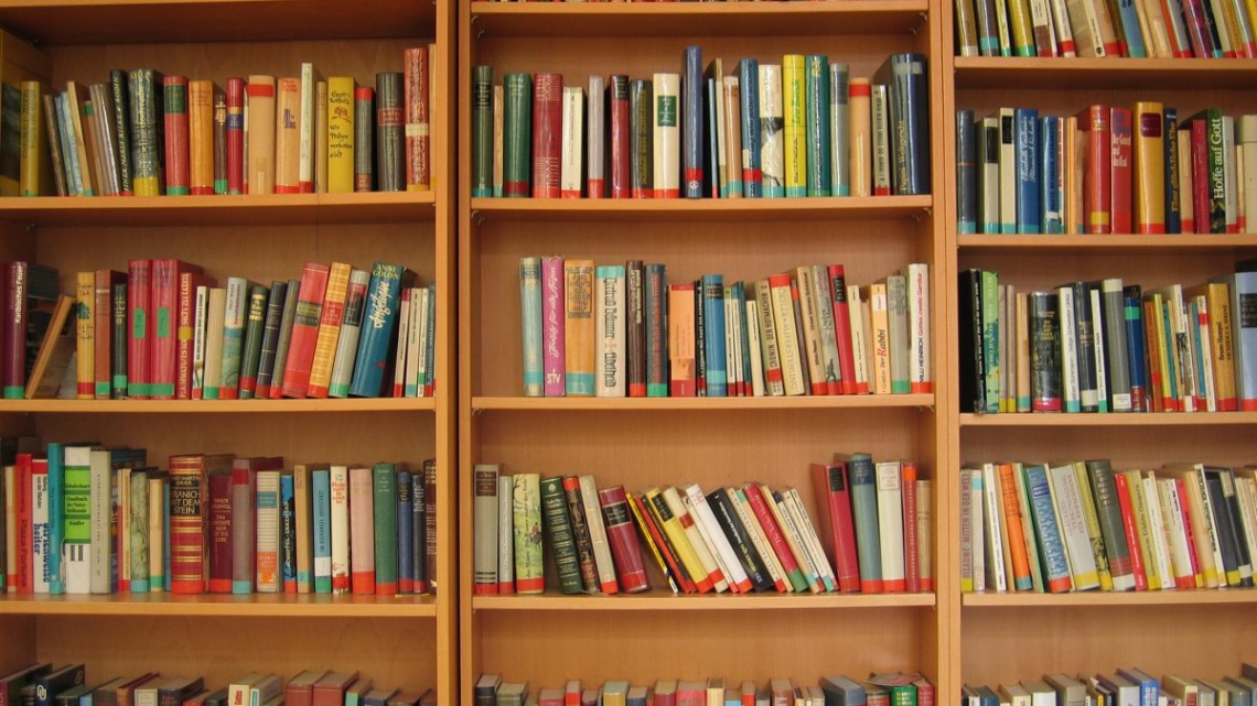 1 LEILÃO SEBO LIQUIDA LIVROS DIVERSOS INICIANDO A 5,00.